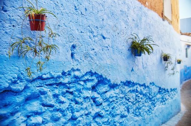 摩洛哥羊皮革是（be的三单形式指已提到的人<strong>蓝色</strong>城市关于舍夫沙万,<strong>无尽</strong>的大街描画的