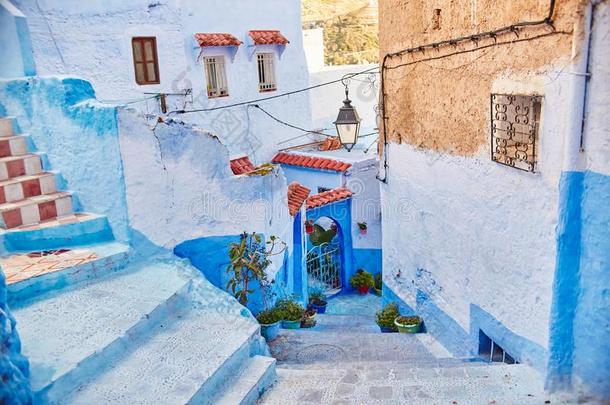 摩洛哥羊皮革是（be的三单形式指已提到的人蓝色城市关于舍夫沙万,无尽的大街描画的