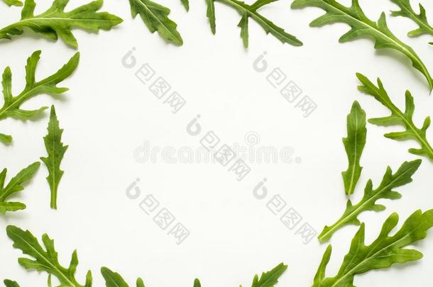 框架关于绿色的芝麻菜树叶向白色的背景复制品空间