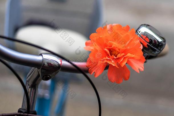 自行车把手装饰和红色的花和精心选择的focu