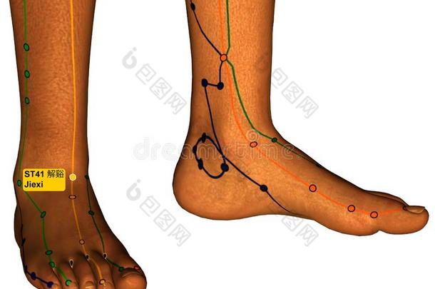 针灸点SaoTomePrincipe圣多美和普林西比41揭西,3英语字母表中的第四个字母说明,白色的背景