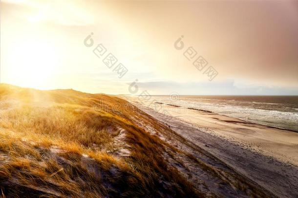 沙丘在赫维德桑德海滩在日出