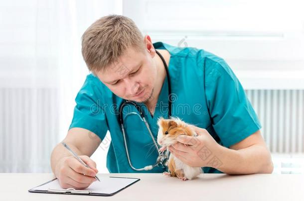 兽医的医生仔细检查宠物和制造记下