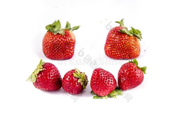 <strong>六大</strong>的甜的红色的草莓`英文字母表的第19个字母