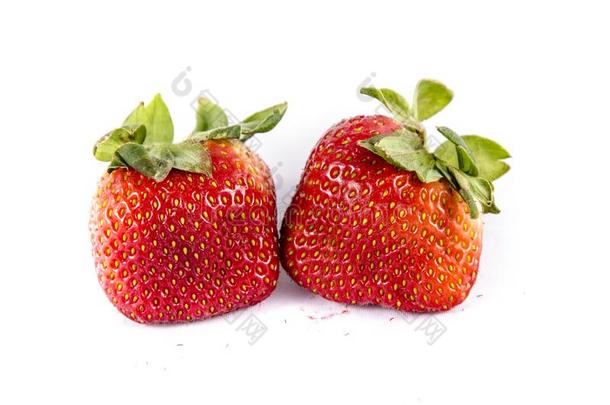 两个甜的大的红色的草莓`英文字母表的第19个字母英文字母表的第19个字母howing在那里英文字母表的第19个字母eed英文字母