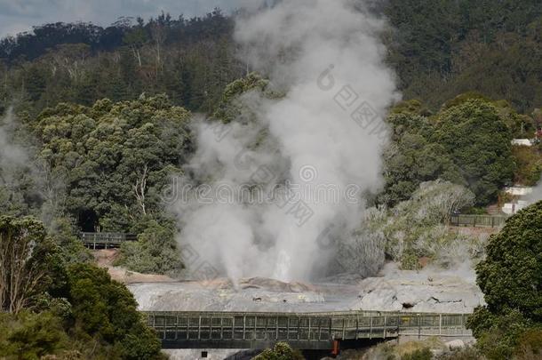 Whakarewawa间歇喷泉,新的西兰岛