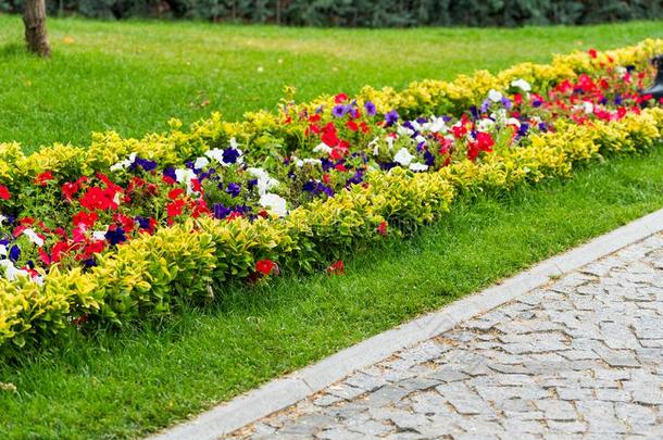 装饰的花床和花和灌木采用l和scape公园