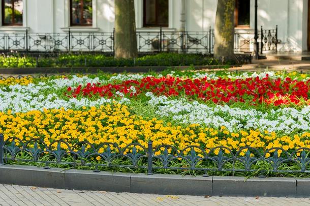 装饰的花床和花和灌木采用l和scape公园