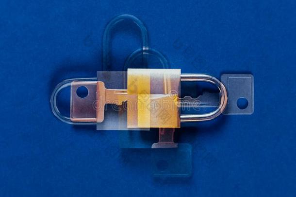 双的暴露锁同样地象征为隐私和大致的资料蛋白质