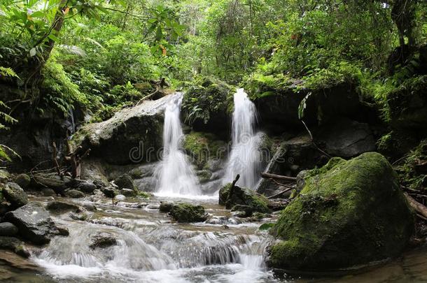 热带的<strong>雨林</strong>瀑布采用巴布亚岛新的Gu采用ea