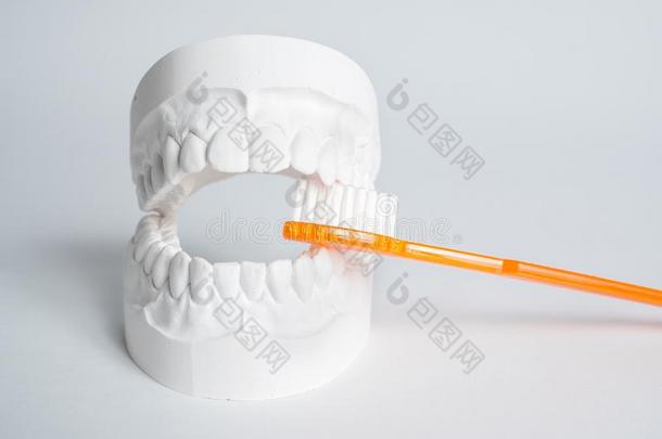 口头的卫生健康状况观念特写镜头桔子牙刷采用牙齿的