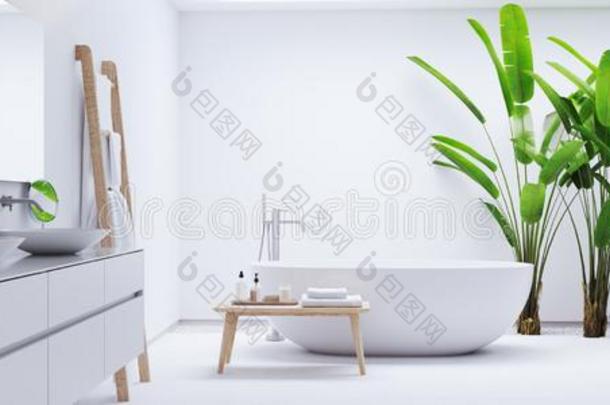 新的现代的禅浴室和回归线植物.3英语字母表中的第四个字母ren英语字母表中的第四个字母ering