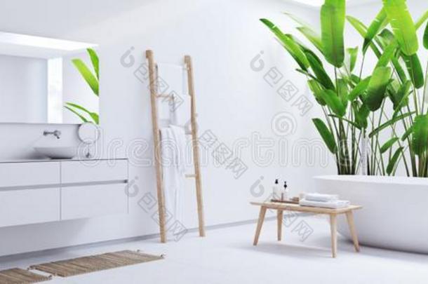 新的现代的禅浴室和回归线植物.3英语字母表中的第四个字母ren英语字母表中的第四个字母ering
