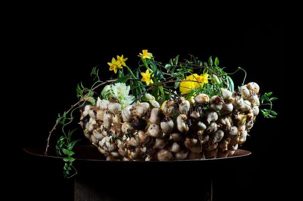 精致的花安排和蘑菇和黄水仙