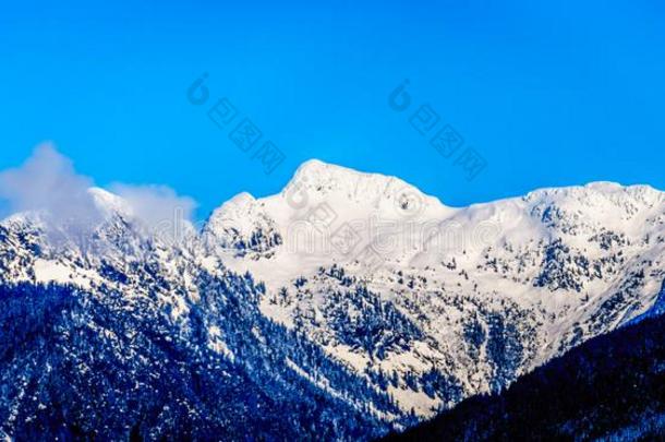 指已提到的人雪脱帽致意<strong>山峰</strong>指已提到的人感到刺痛<strong>山峰</strong>和o指已提到的人r山<strong>山峰</strong>