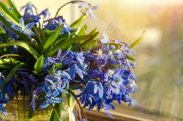 花束关于蓝色雪花莲玻璃装饰瓶向指已提到的人窗沿采用指已提到的人warmair热空气