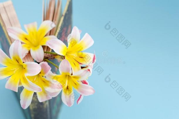 富有色彩的春季花,中间页关于起立和轻微的