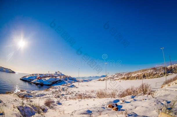 美丽的和煦的：照到阳光的一天向指已提到的人冷冻的湾关于亨宁斯瓦耶