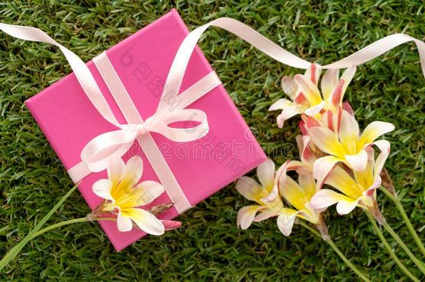 粉红色的赠品盒和一弓一nd<strong>花</strong>.