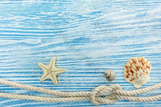 蓝色描画的木制的板背景和海中软体动物的壳,海星一