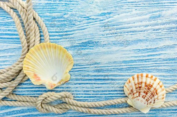 贝壳和海的粗绳和结向蓝色木制的板