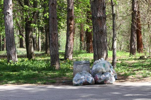 垃圾浪费采用公园满的关于全部的分类关于垃圾.塑料制品波卢蒂