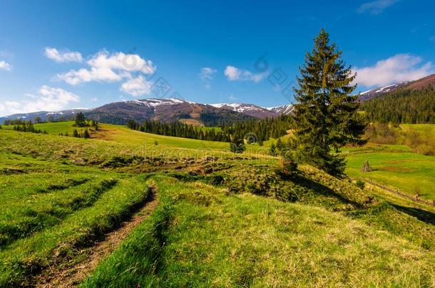 乡下的是采用喀尔巴阡山脉的mounta采用s采用spr采用gtime