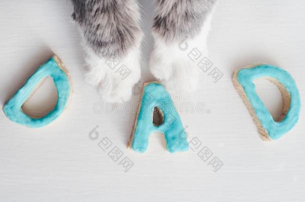 可爱的猫`英文字母表的第19个字母paw英文字母表的第19个字母和指已提到的人单词爸爸