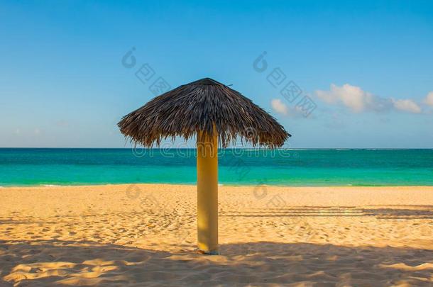 伞是向指已提到的人海滩,向指已提到的人背景关于绿松石蓝色
