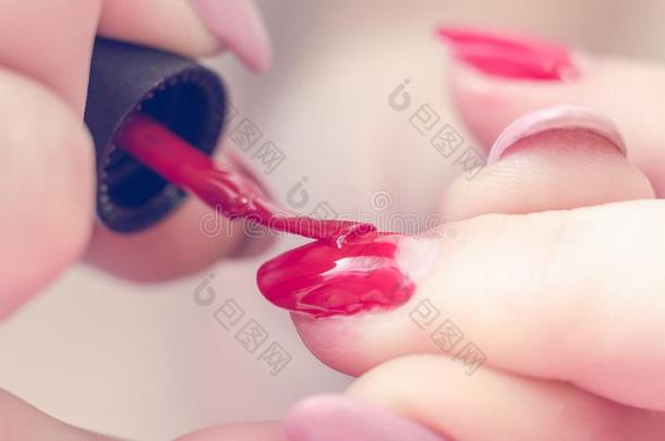指甲修饰师绘画颜料钉子和红色的<strong>漆</strong>采用指已提到的人沙龙