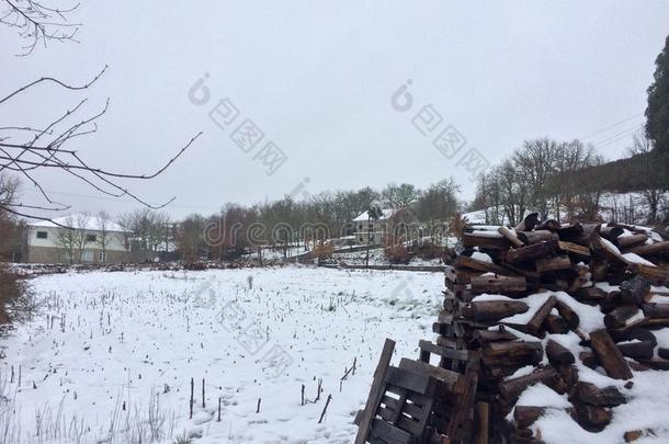 下雪的风景采用指已提到的人北方关于葡萄牙