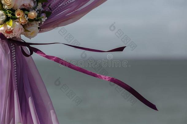 两个紫色的带向指已提到的人婚礼弓形