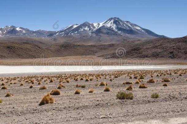 风景优美的风景关于卡纳帕环礁湖小湖卡纳帕采用指已提到的人安第斯山脉亩