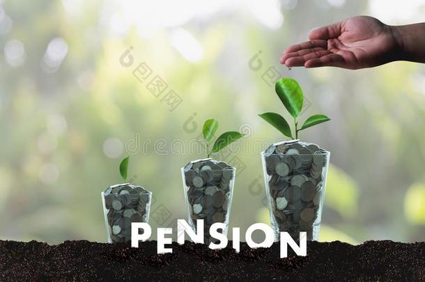 退休金钱储蓄财政的观念和退休和佩普