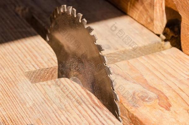 圆形的锯子刀片为锋利的木材特写镜头在精心选择的集中