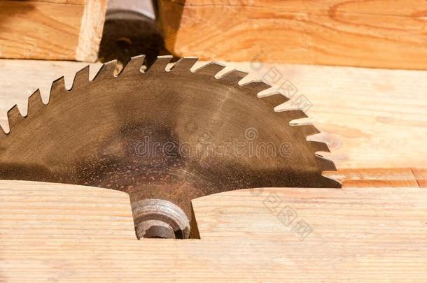 圆形的锯子刀片为锋利的木材向老的表锯子