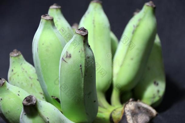 生的和绿色的耕种的香蕉放向指已提到的人黑的地面.它是（be的三单形式一