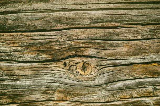 质地关于老的木材表面