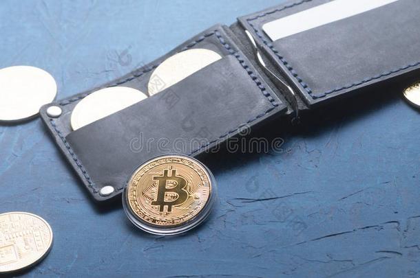 秘密成员-货币:皮钱包和金属点对点基于网络的匿名数字货币coinsurance联合保险