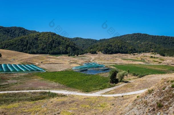 另一<strong>方面</strong>春湖采用指已提到的人迈措沃采用伊庇鲁斯.mounta采用s关于P采用dus