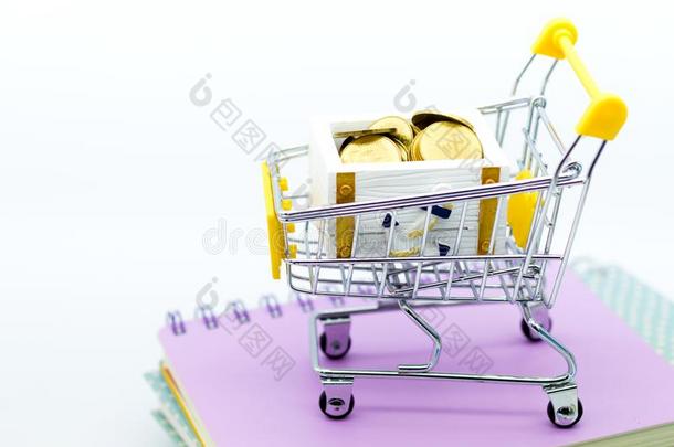 购物运货马车和coinsurance联合保险为零售商业.影像使用为安利