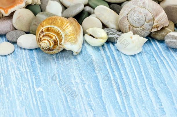 贝壳,海的卵石和石头向蓝色描画的木制的后面