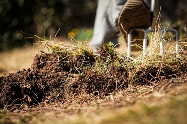 园丁使暴露于空气中泥土和挖掘在上面指已提到的人花园地面和一挖掘ging
