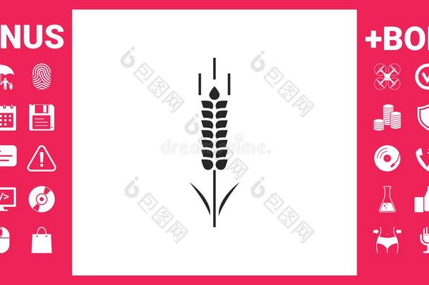 小麦或吉卜赛绅士小穗象征