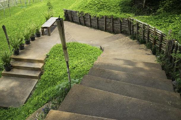 步关于棕色的石头楼梯和绿色的植物不中指已提到的人走道路