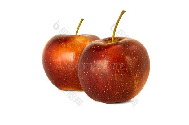 多样关于成熟的红色的苹果伊莱扎使隔离白色的背景.检察官