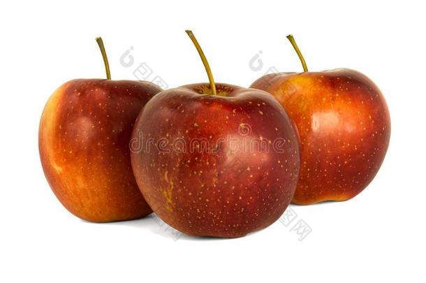 多样关于成熟的红色的苹果伊莱扎使隔离白色的<strong>背景</strong>.<strong>检察</strong>官