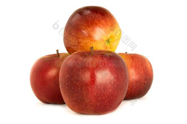 多样关于成熟的红色的苹果利戈使隔离白色的背景.检察官