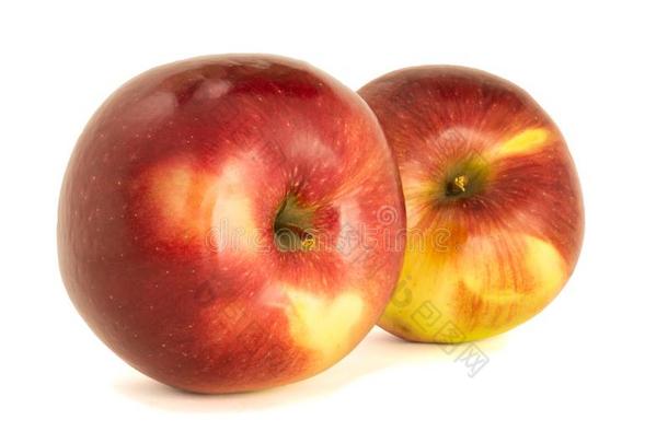 多样关于成熟的红色的苹果利戈使隔离白色的<strong>背景</strong>.<strong>检察</strong>官