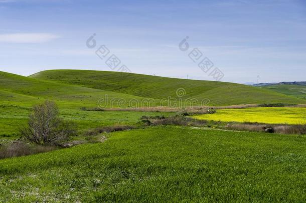 小山风景在春季和天和草地